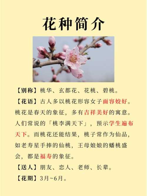 “八字里那些说不清道不明的“情缘星