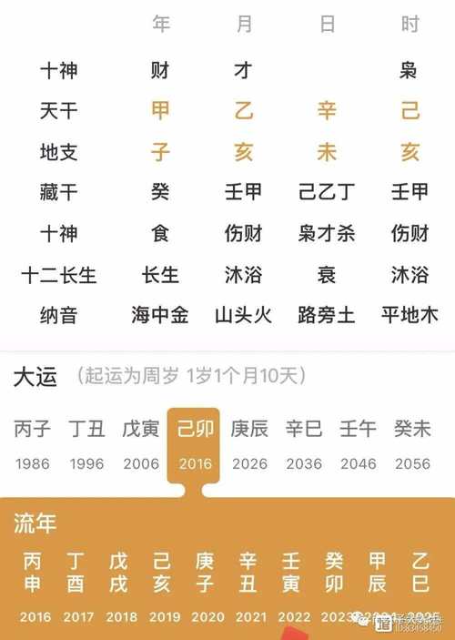 “八字喜火碰上辛巳大运——当元素碰