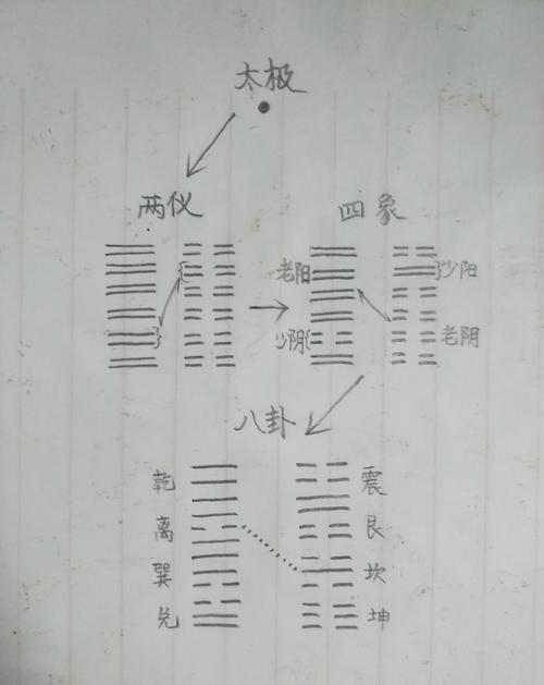“六爻少阴少阳是否存在