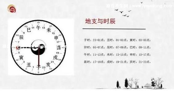 1982年正月初十亥时出生运势解析