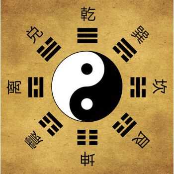 “阴阳流动如何塑造卦象骨骼