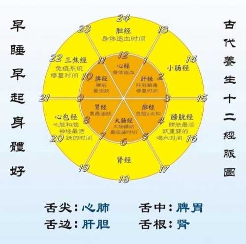 “木火土金水与脏腑的隐秘对话