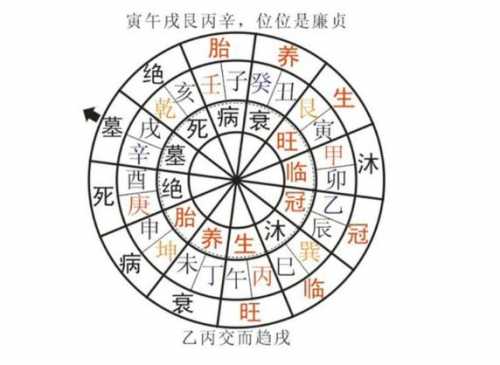 “壬水日主遇申子辰三合局的命理特征