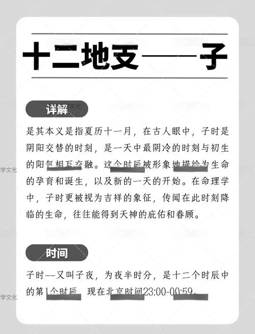 “癸酉年冬月子时生人八字命盘解析