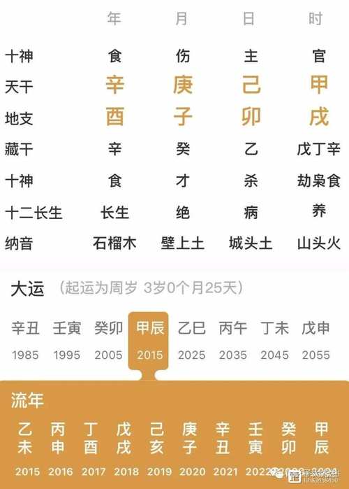 丁酉年十月初一子时出生的人命运解析
