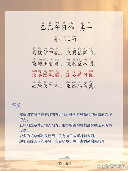 辛已年乙未月乙未日午时