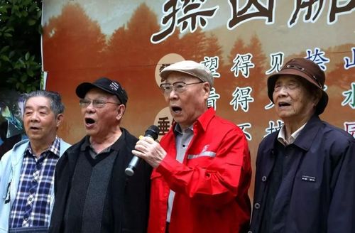 “1985年5月7日戌时生辰八字精批