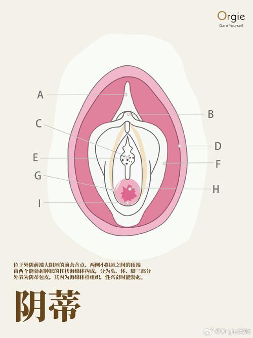 “四柱纯阴的女性情感特质探微