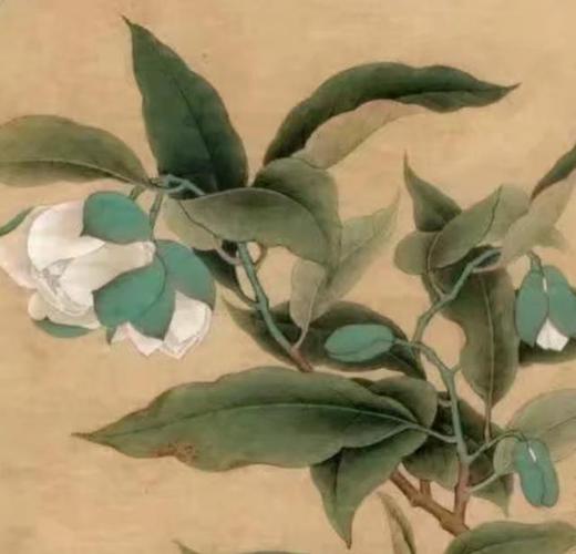 “1980年3月初七子时命理分析