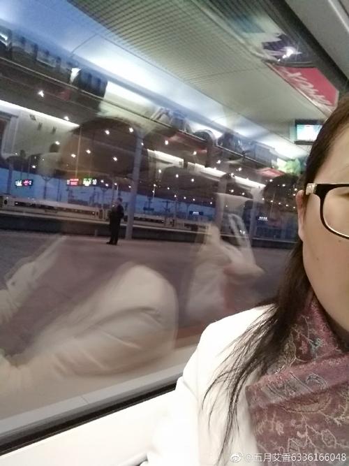 “94年五月初三丑时命盘解析