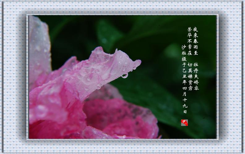 “乙丑四月二十五午时命盘解析