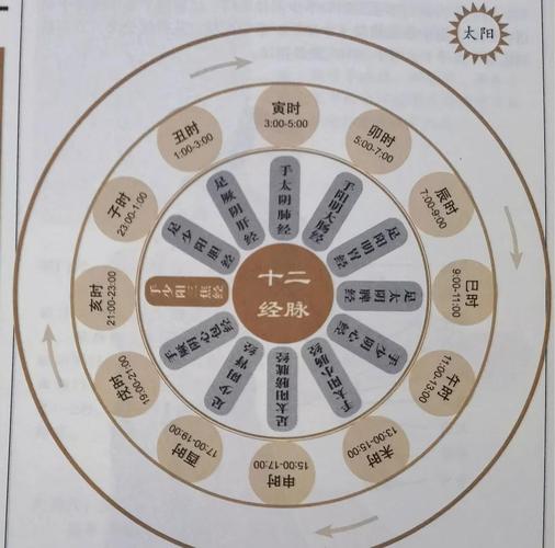 “丙申年乙木命盘深度解析