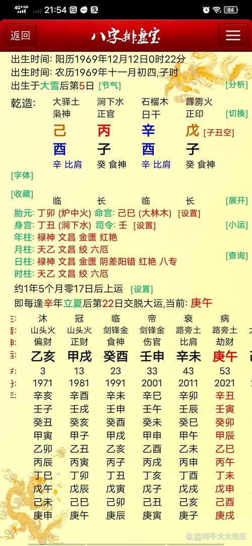 辛巳年正月十一子时：命运的交汇与时辰的玄机