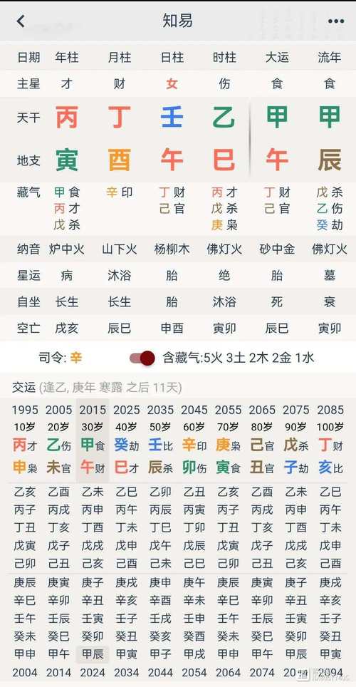 “戊戌年辛酉月丙辰日午时：命理中的时