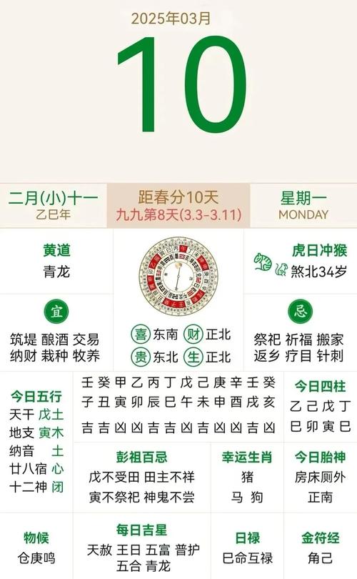 “1998年阴历8月20午时：命理中的人生