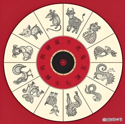 “八五年腊月初八巳时出生的人生轨迹