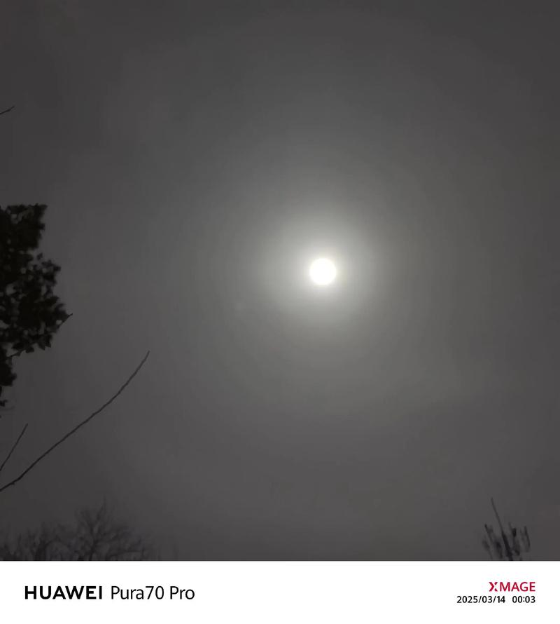 “85年情人节子时出生的人生密码：命运