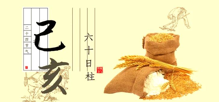 “详解85年12月初五亥时出生者的命运