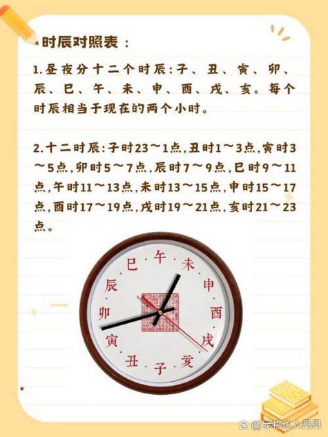 “1984年正月十二酉时：命理中的五行交