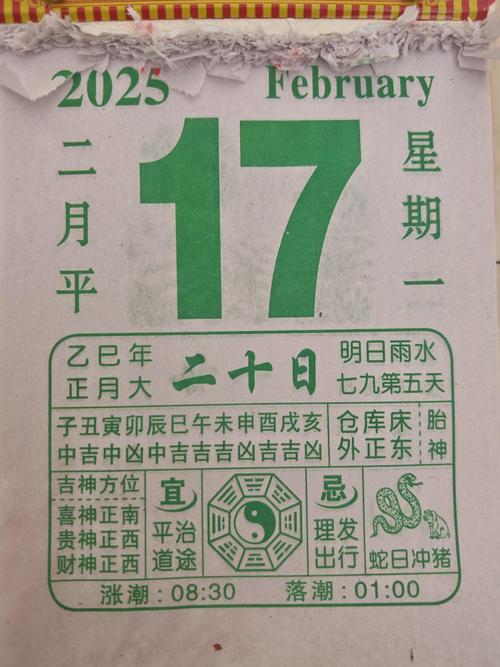 “冬月命盘中的寅时玄机：解读命理中的