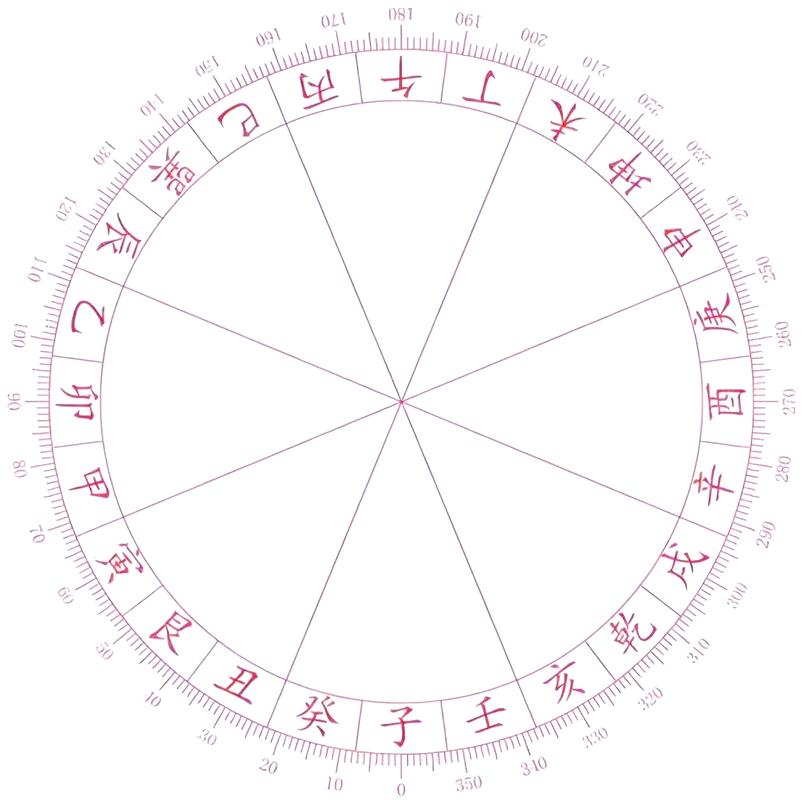 “乙亥年丙戌月癸酉日午时：命理中的五