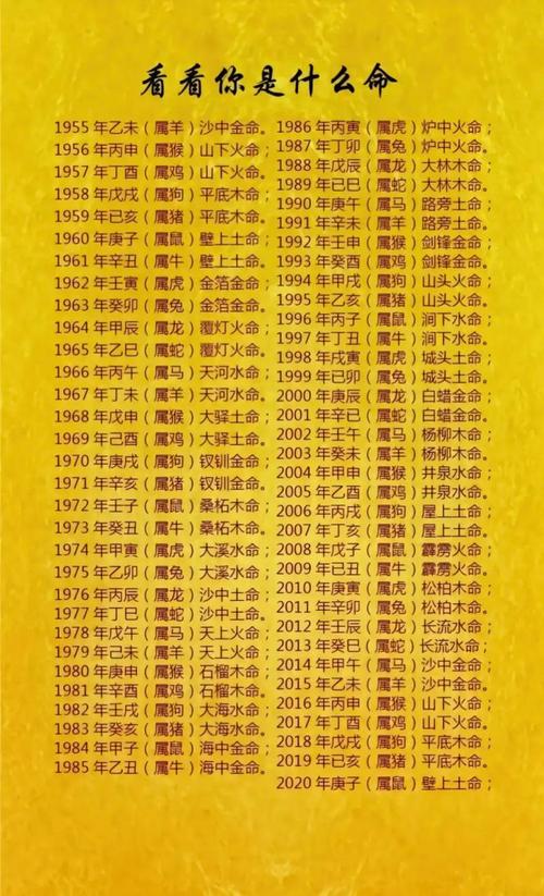 “庚子鼠年命理：从天干地支看命运流转