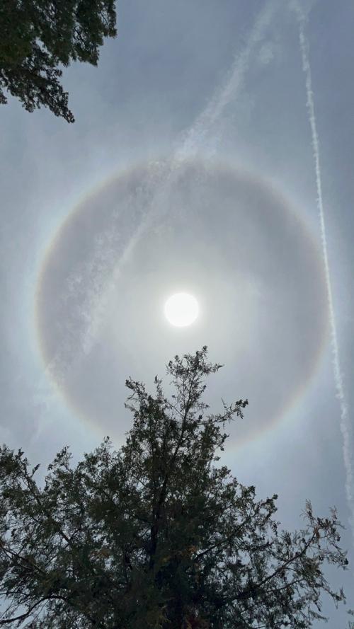 “1979年五月十四午时的命理解读：命运