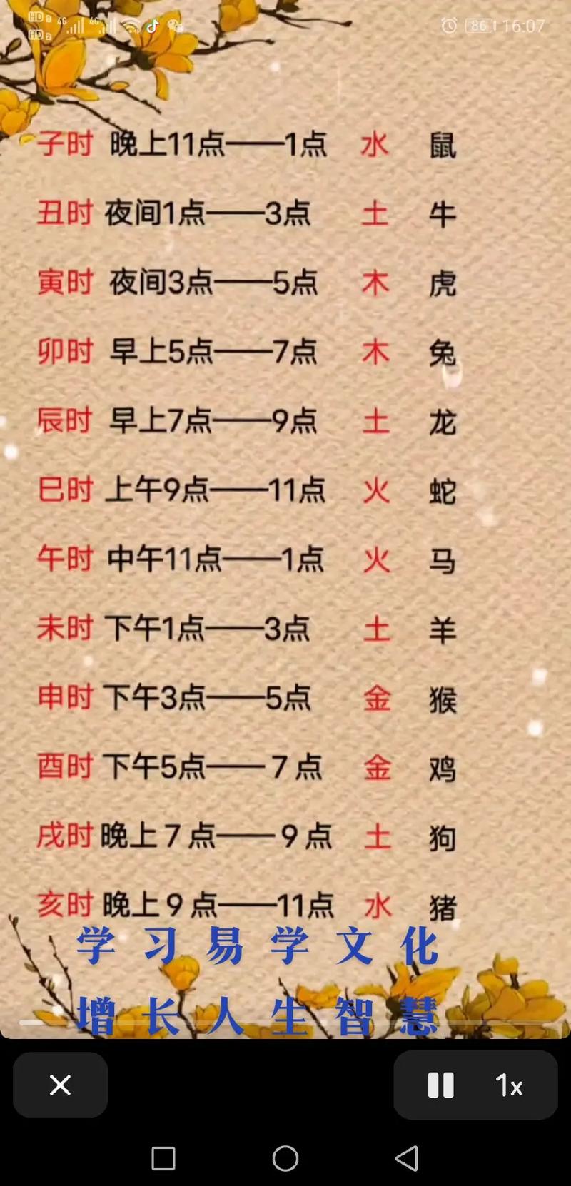 “命理中的时间之钥：九五年十一月初八