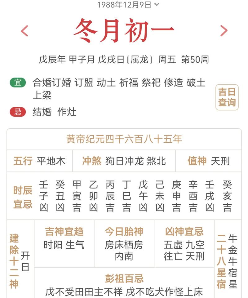 82年腊月初二子时