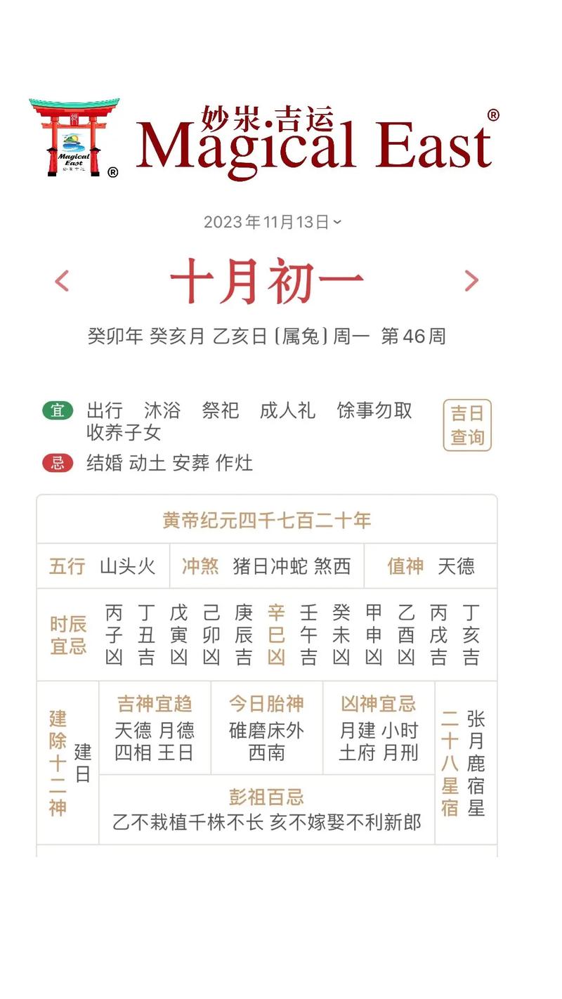 “亥时生人命局中的天干地支力量与性