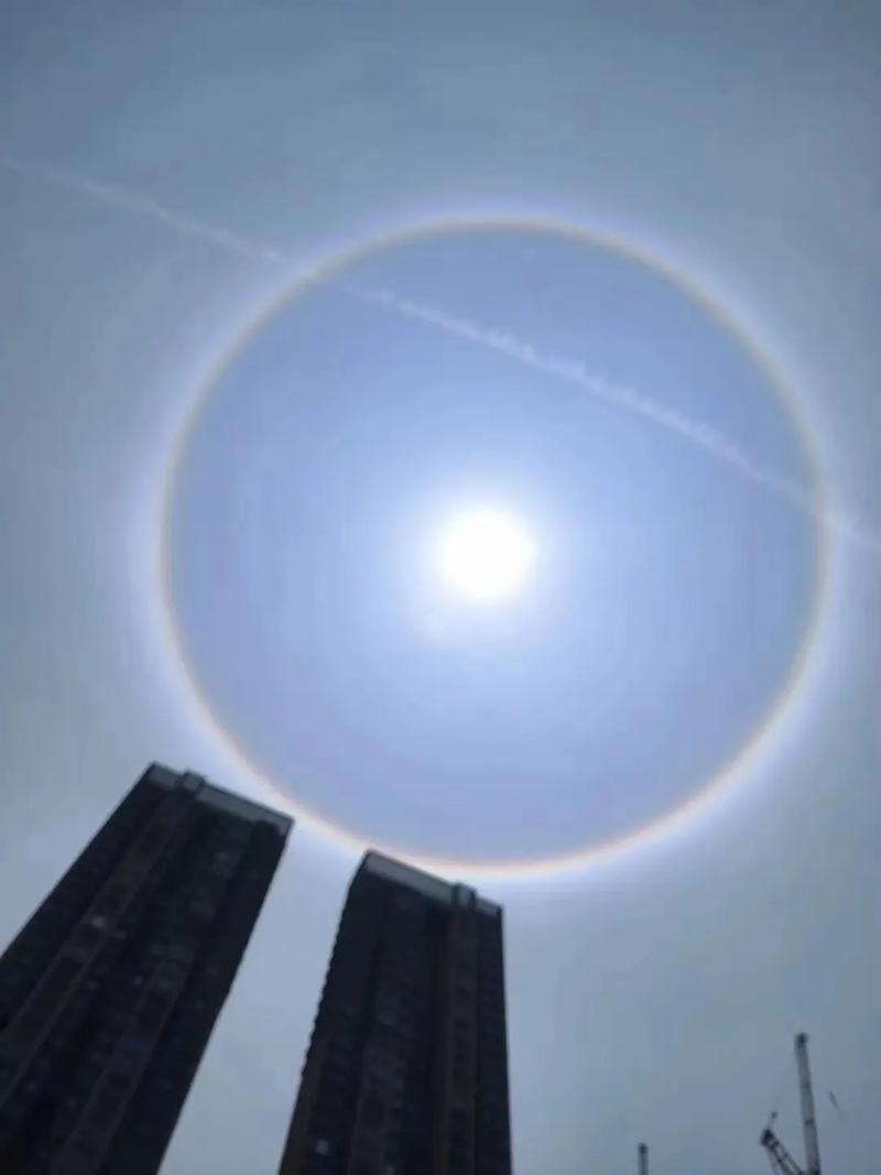 “1962年1月26日午时出生者的五行格