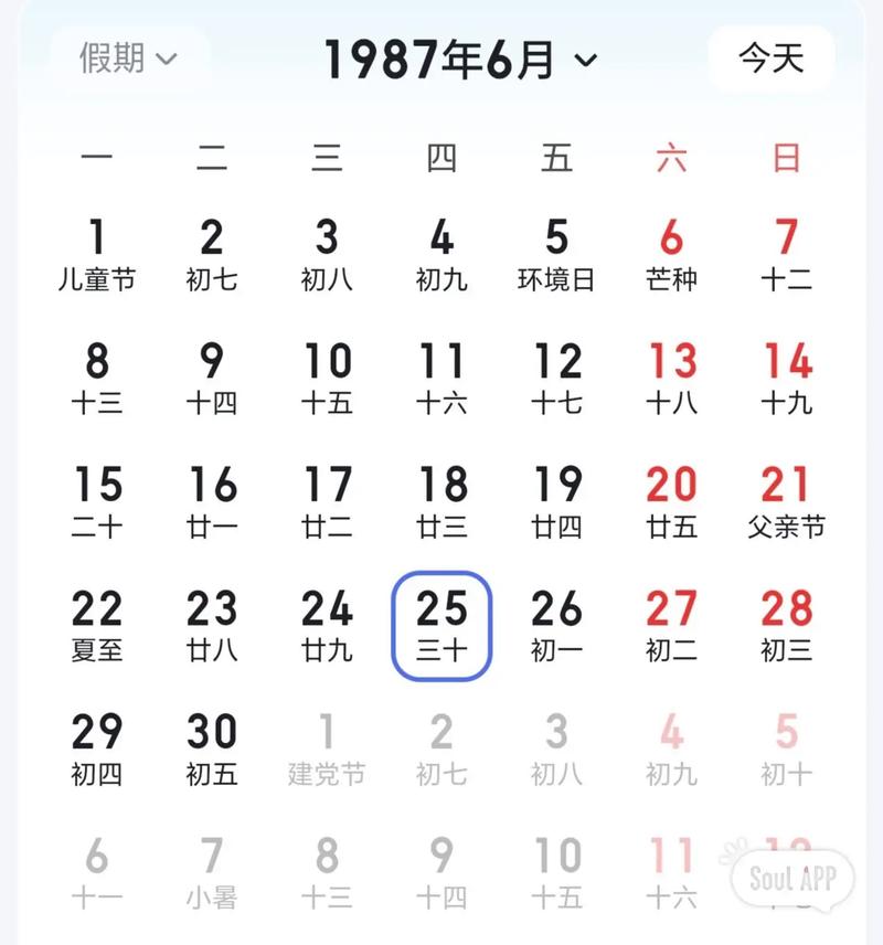 “1995年七月初八辰时：天干地支间的命