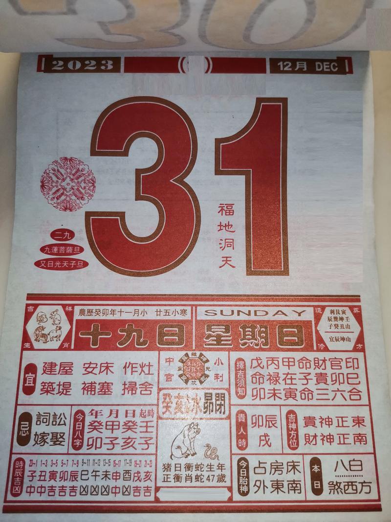 “1993年正月十一申时：八字命局中的五