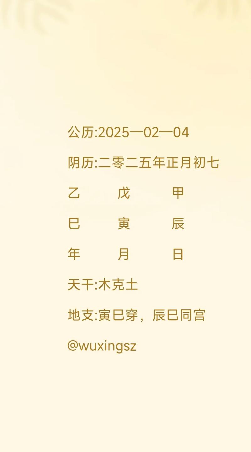 “丙申年正月初七乙未时：命理中的五行