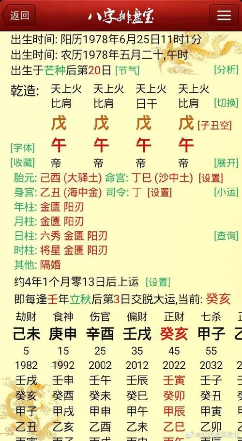 亥时生人：命格中的孤星与福缘交织