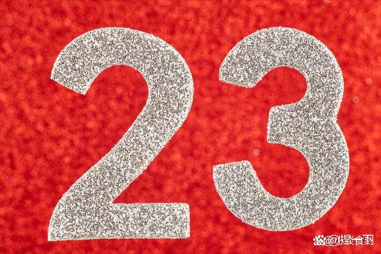 庚子年正月二十三日辰时