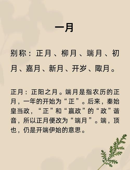 “戊戌年二月初一寅时的命理解读：五行