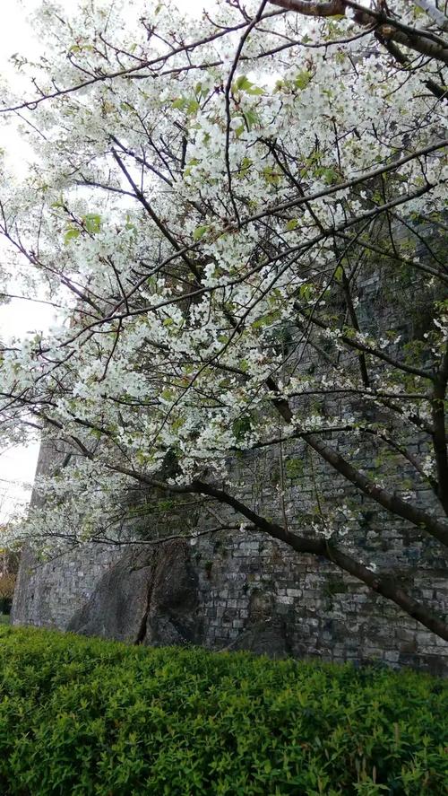 95年三月初五下午3点