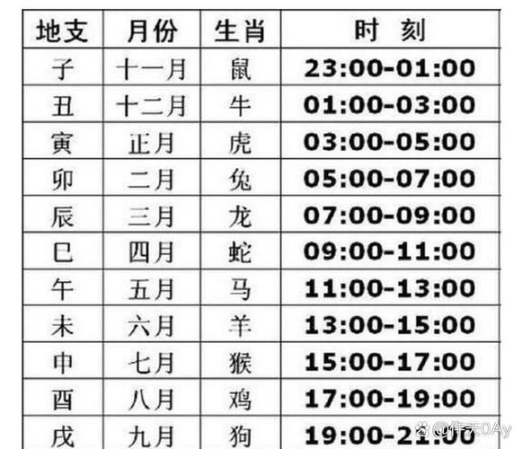 乙亥年三月十一亥时：命运的时空交汇