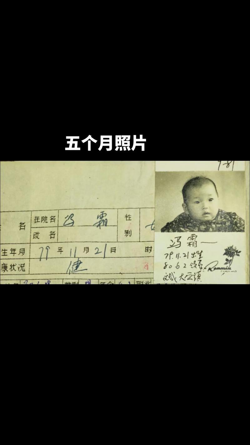 “79年十一月初八子时命盘：天干地支中