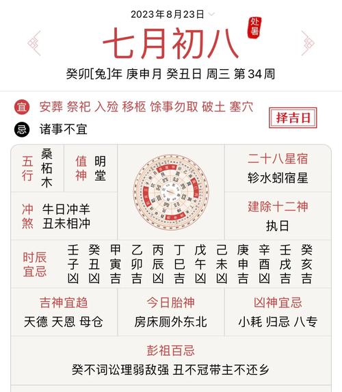 “1993年正月初八酉时：命局中的五行流