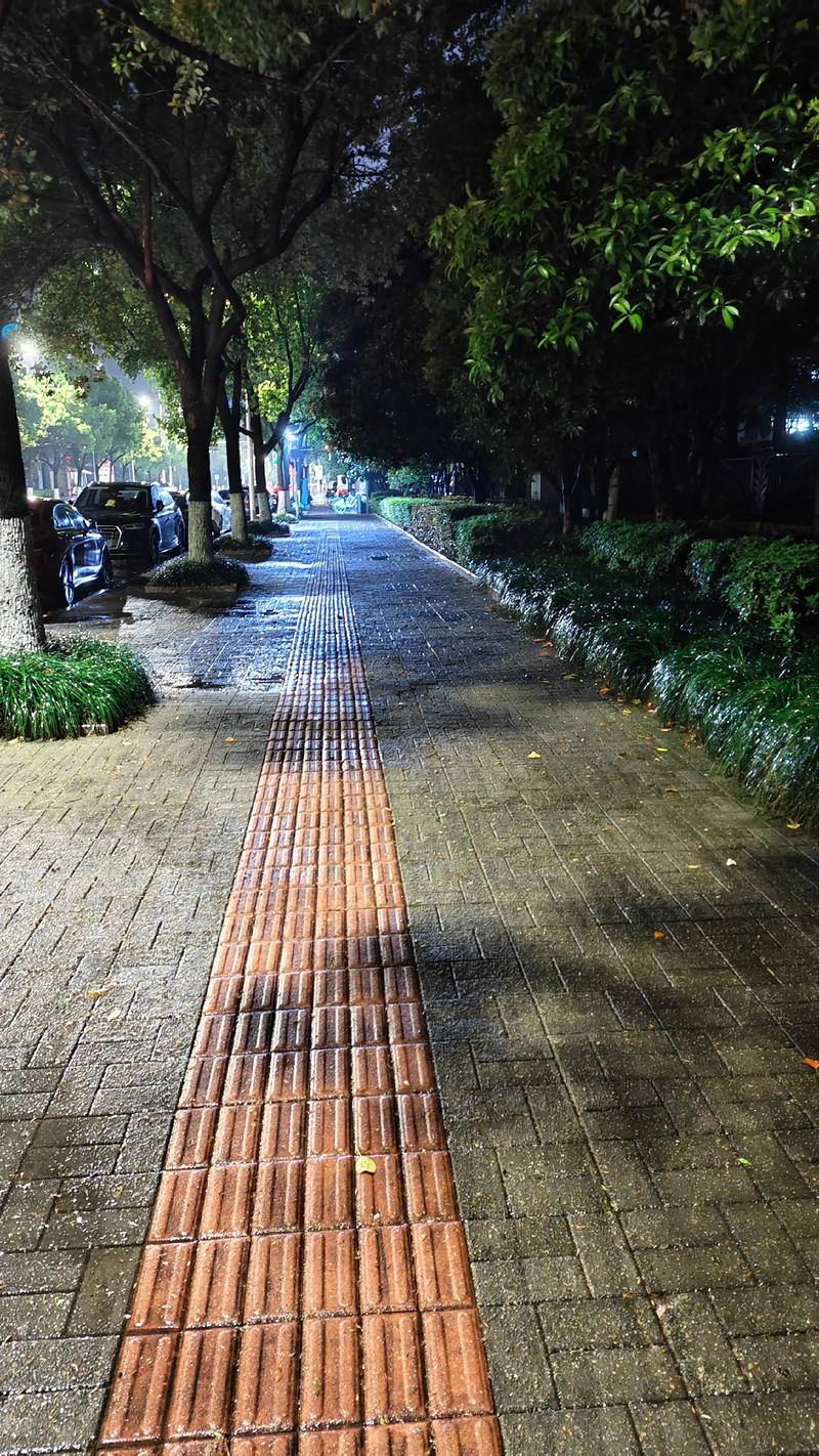 “乙亥年正月初四凌晨一点:命理中的五