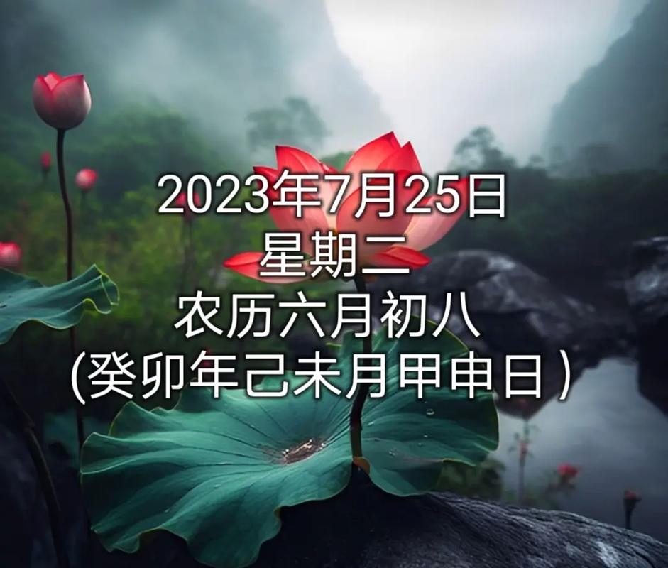 “1997年正月初二酉时:命盘中的五行流