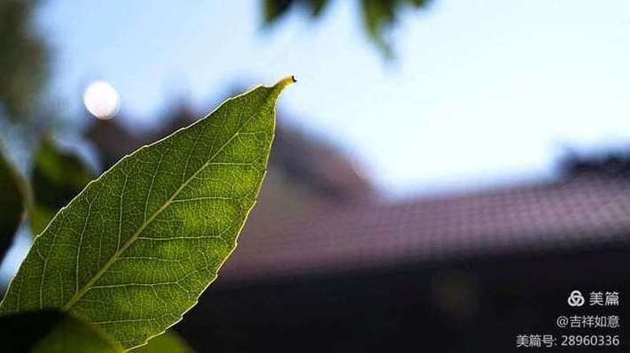 1997三月初五丑时