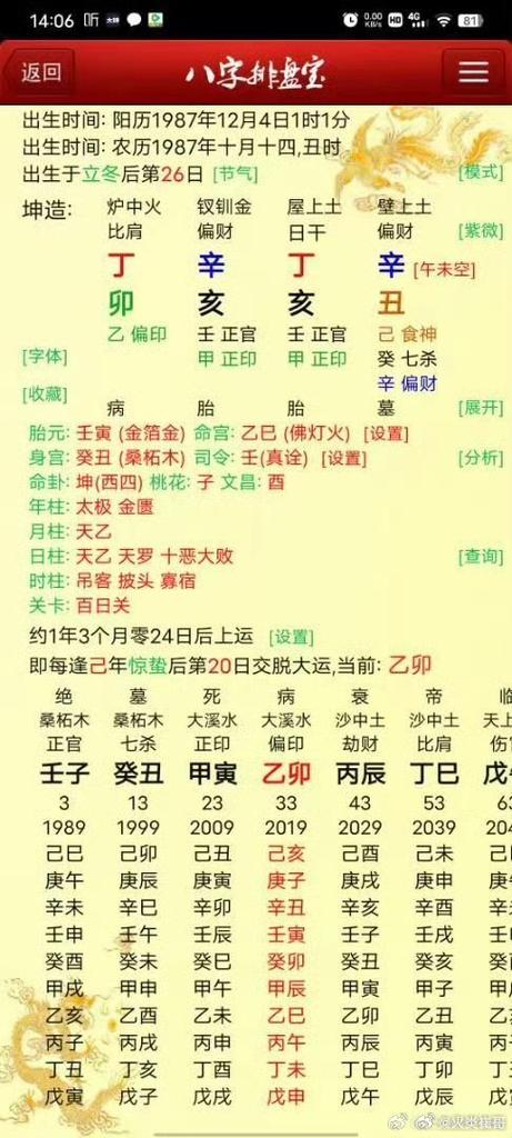 “庚申年丁亥月丙申日午时：金火交融的