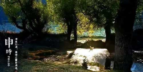 2025年11月17日15-16点申出生的人是什么命