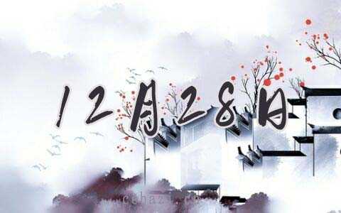 2025年12月28日出生的人