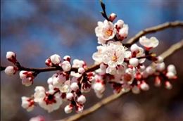 “加强生育工作能力的感情风水