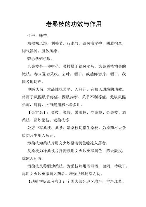 八字中桑枝木特点