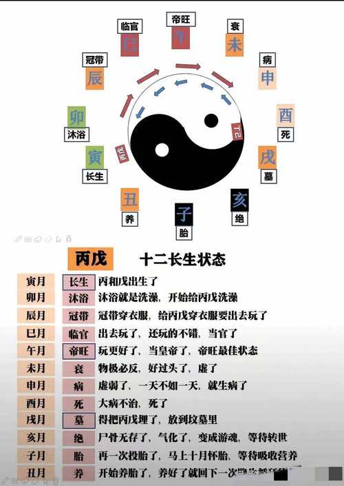 “八字十二长生何用